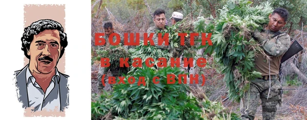 ешки Алексин